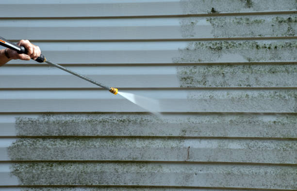 Pre-Holiday Cleaning in Ferndale, CA